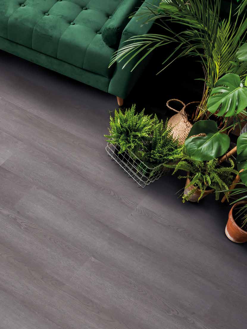 Primerra Wood — Concrete Oak in a room